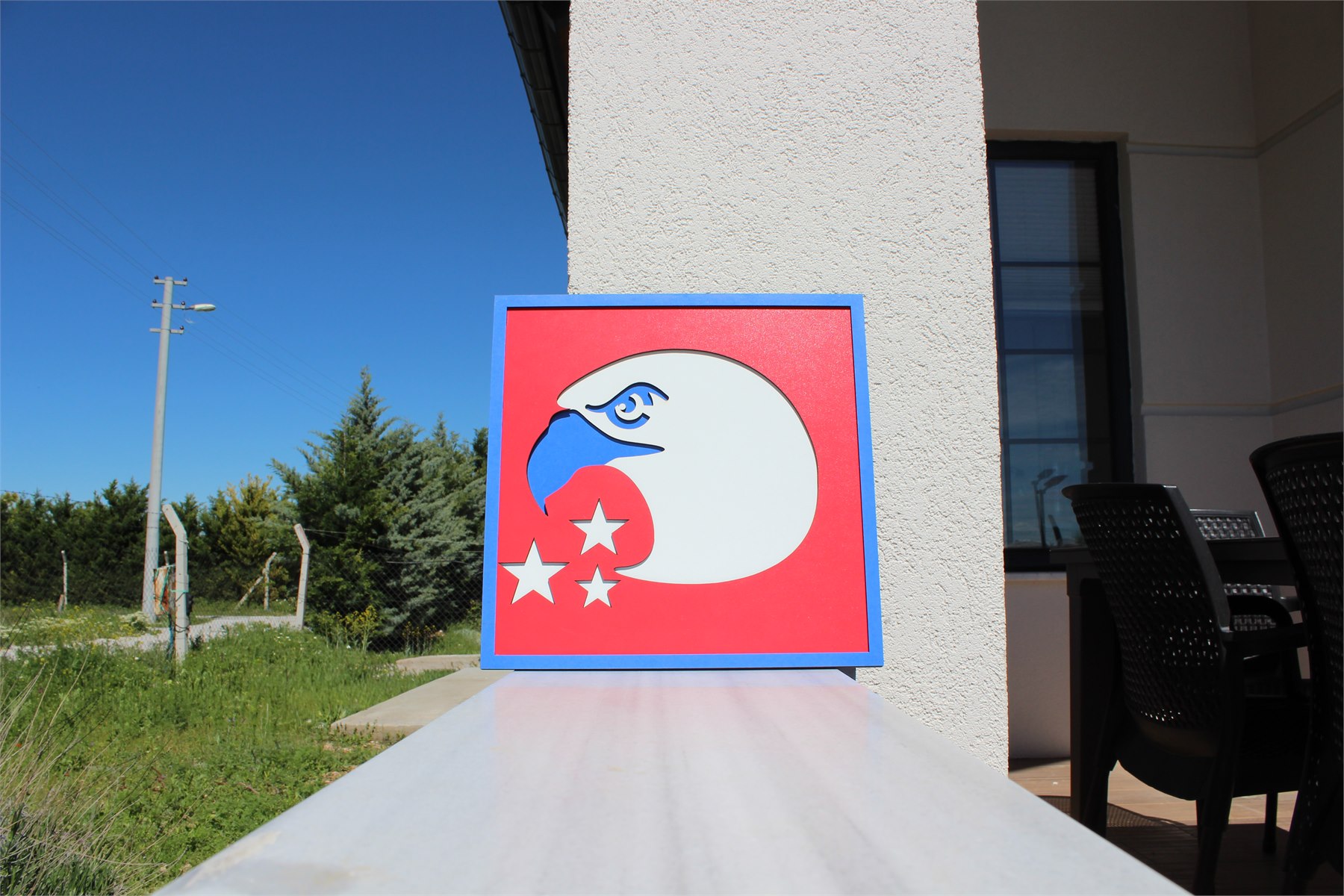 PATRIOT EAGLE View 9