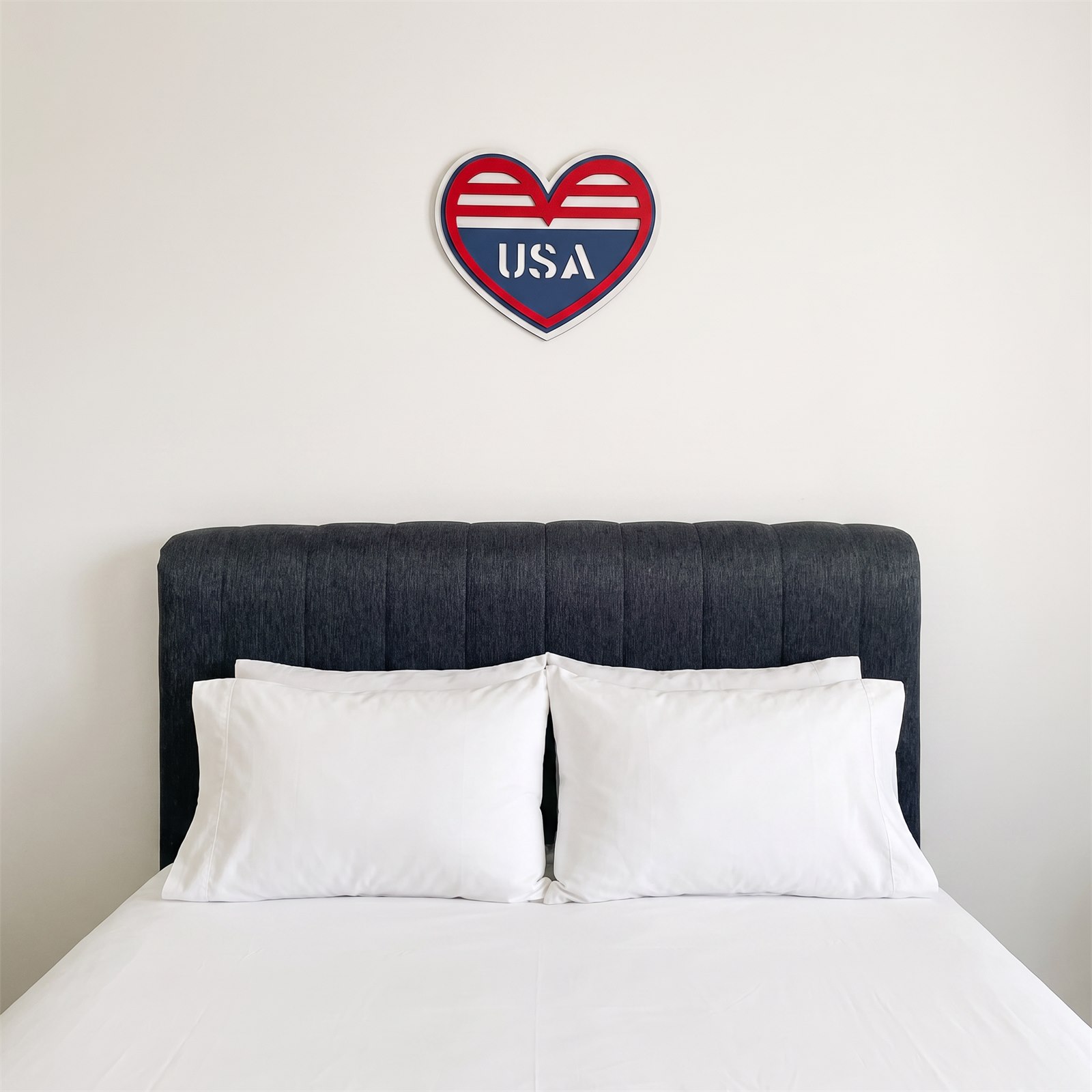 USA HEART View 5
