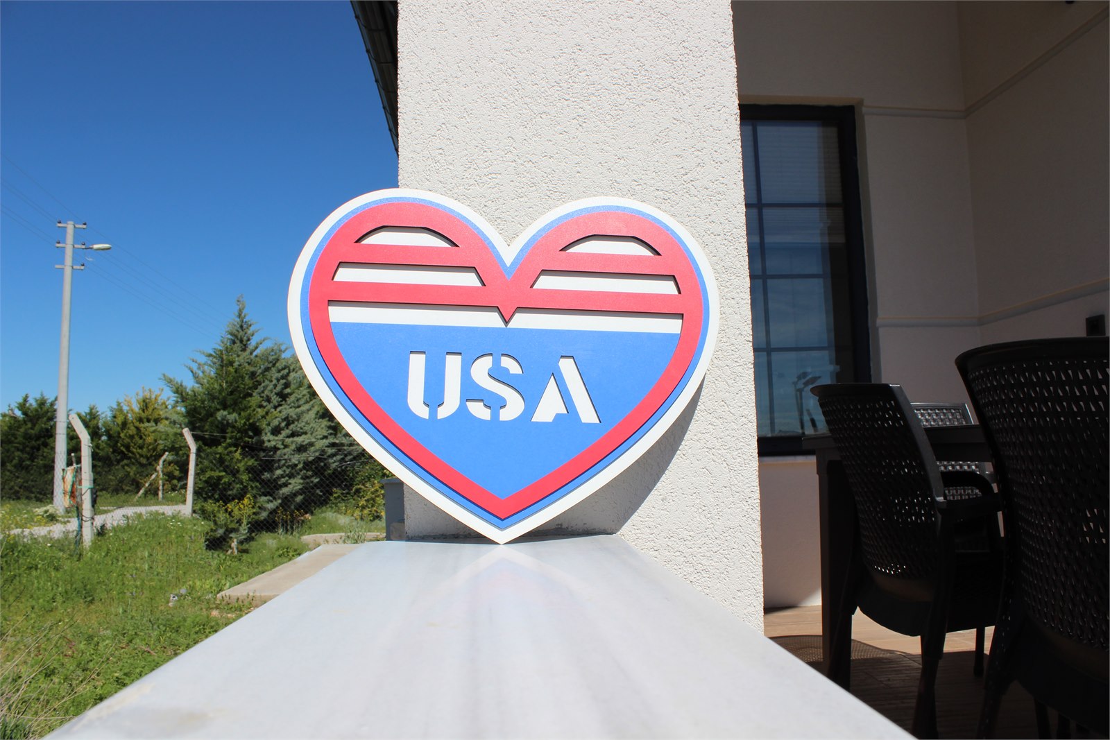 USA HEART View 10