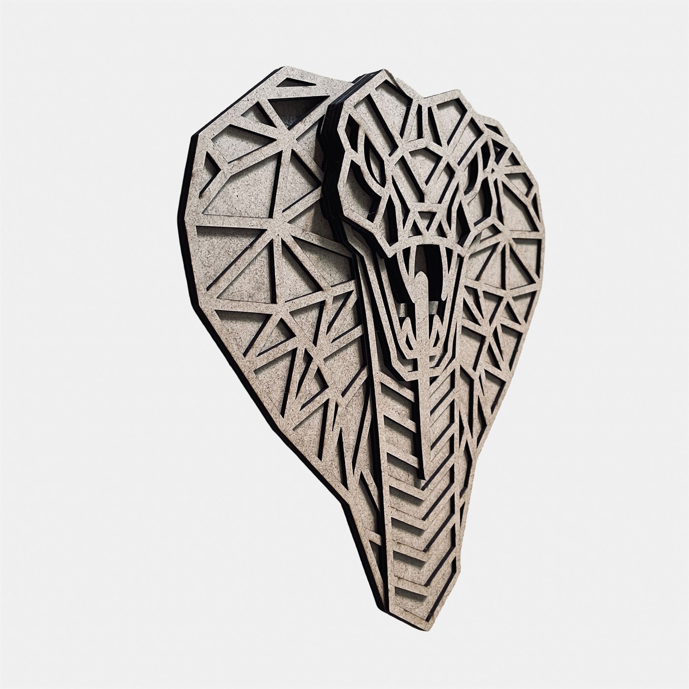Cobra Geometry Left 3D Angle Showing Polygon Depth