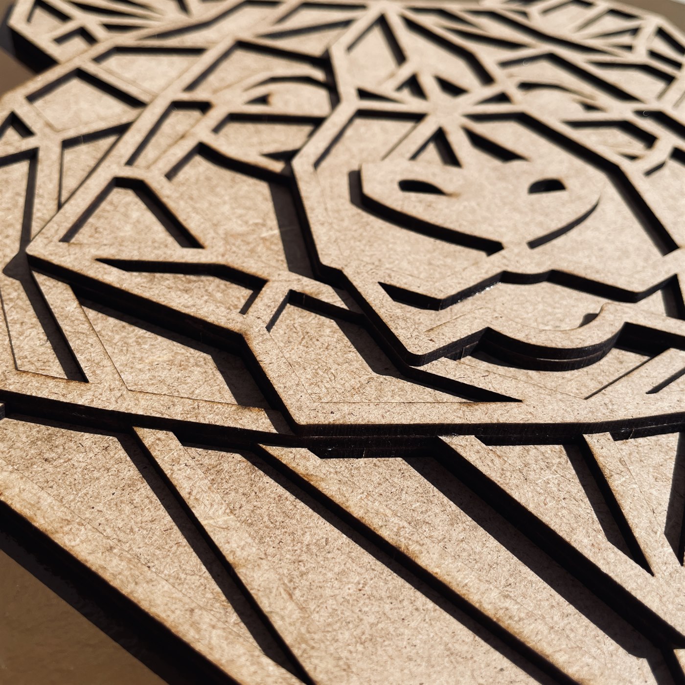 Geo Bear Macro Detail of Muzzle and Layered Joinery