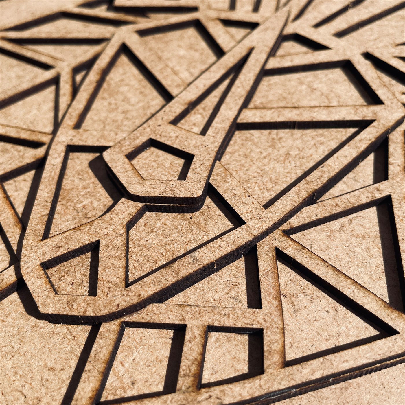 Lion Emblem Macro Detail of Mane Creases and Laser Cut Contours