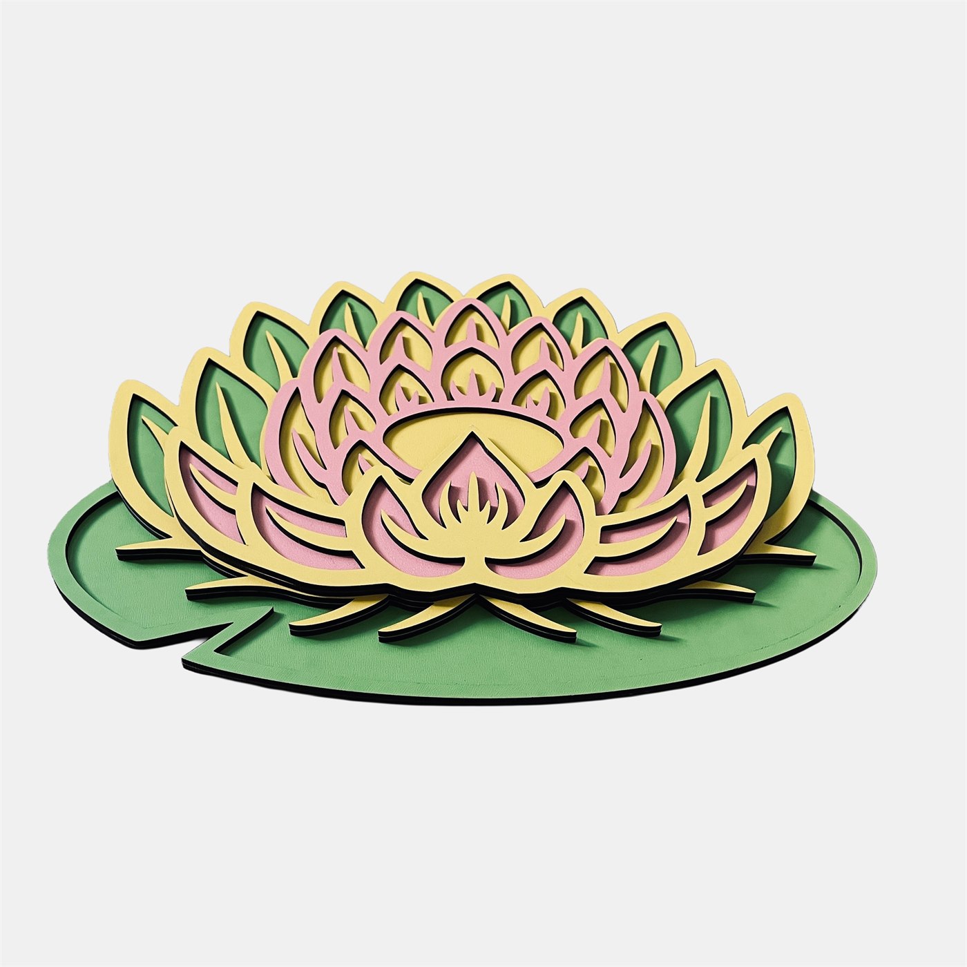 Lotus Bloom Low-Angle Perspective