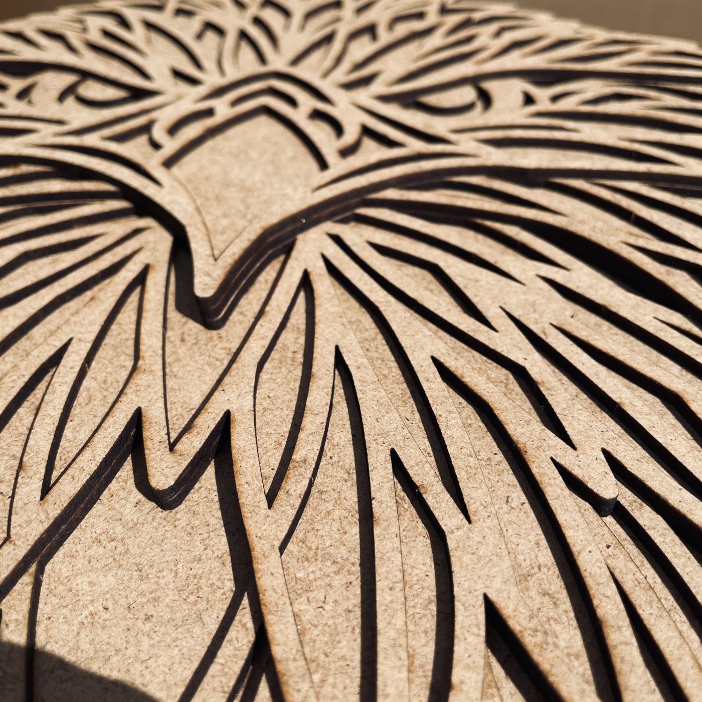 Majestic Eagle Macro Detail of Lower Plumes and Joinery