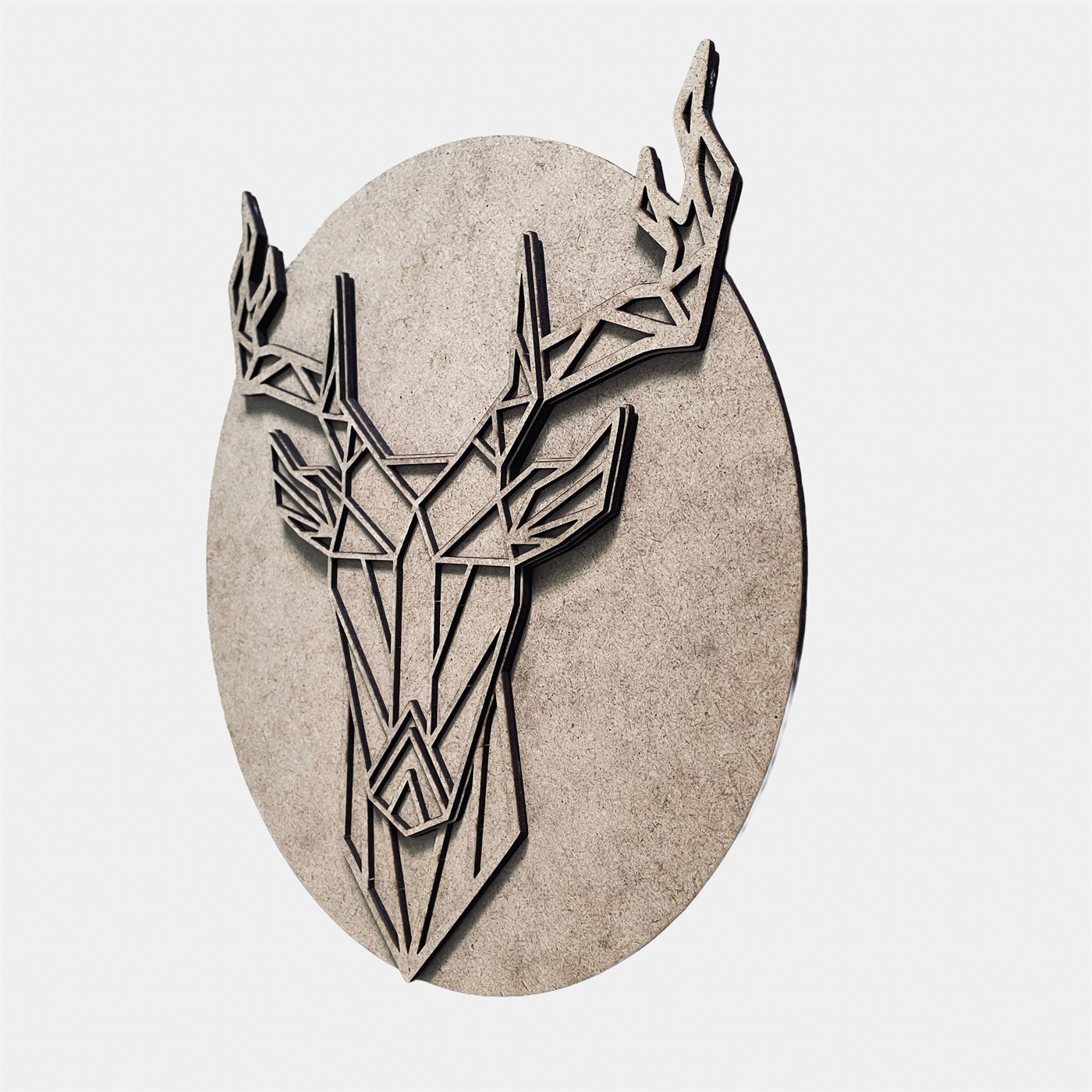 Noble Stag Right Profile Highlighting Dynamic Shadow Interplay