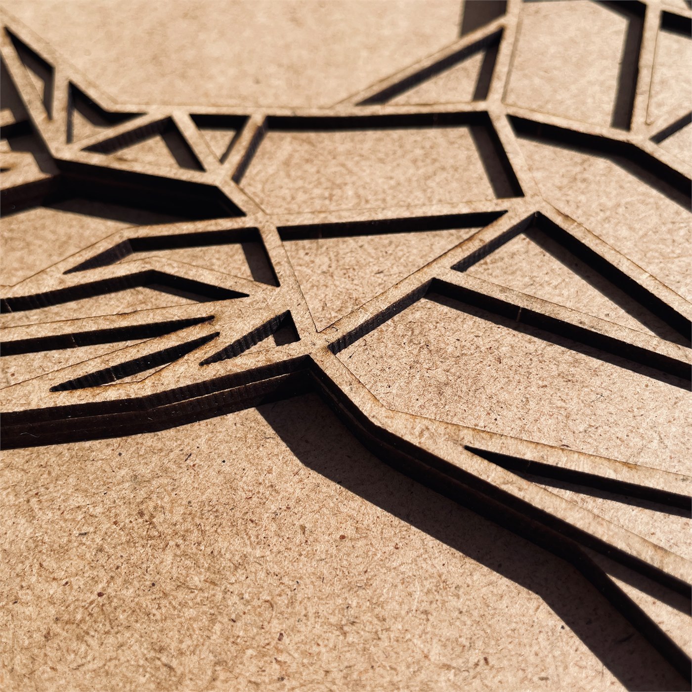 Noble Stag Macro Detail of Mane Creases and Laser Cut Contours