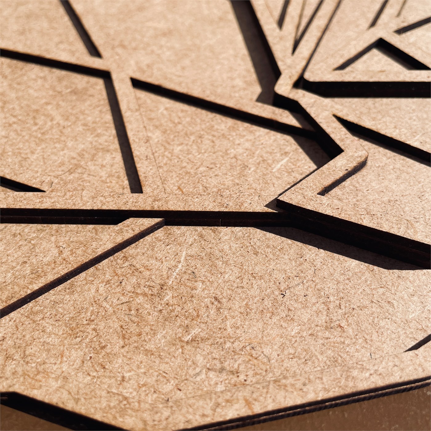 Origami Owl Macro Detail of Eye and Forehead Facet Relief