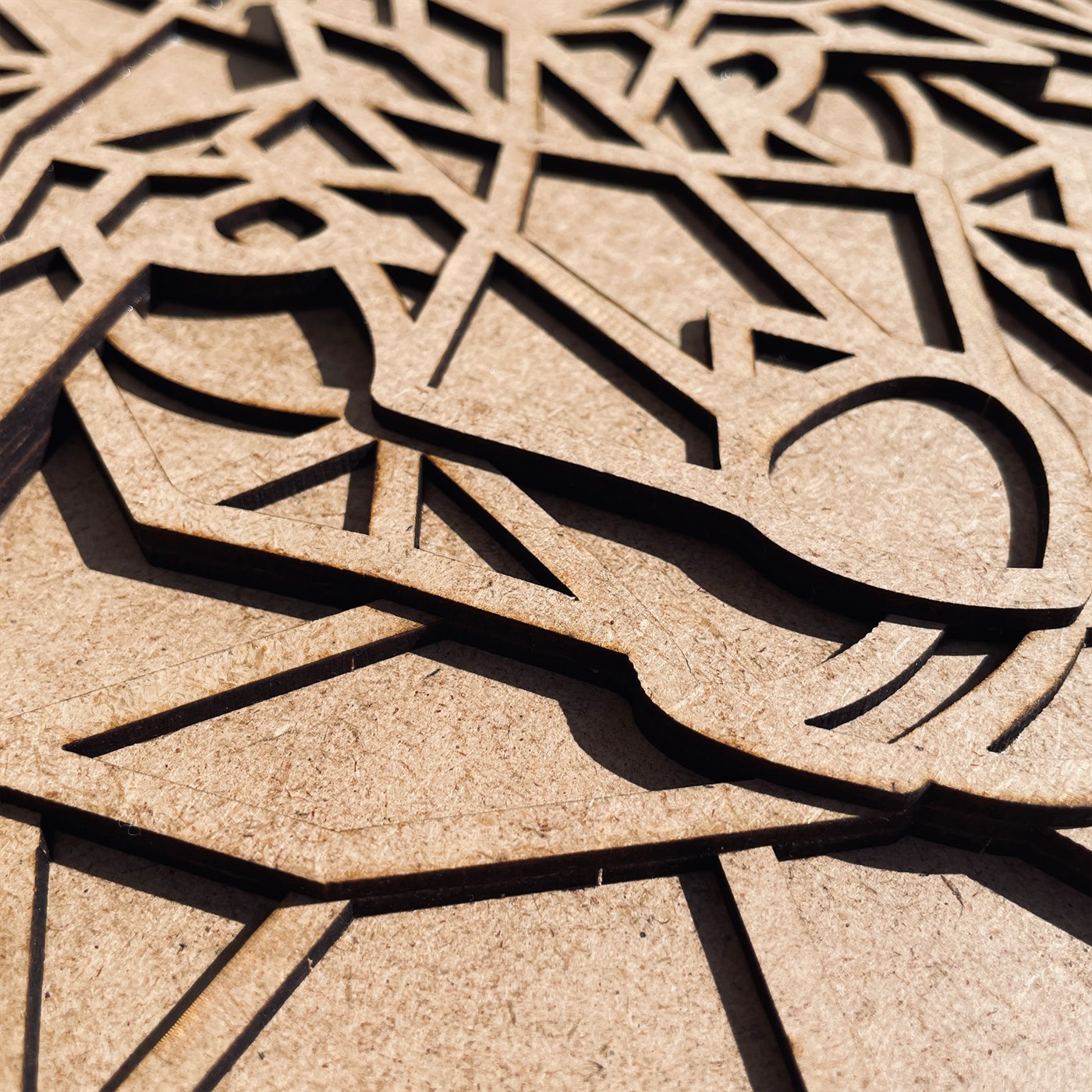 Wild Wolf Macro Detail of Muzzle and Layered Joinery