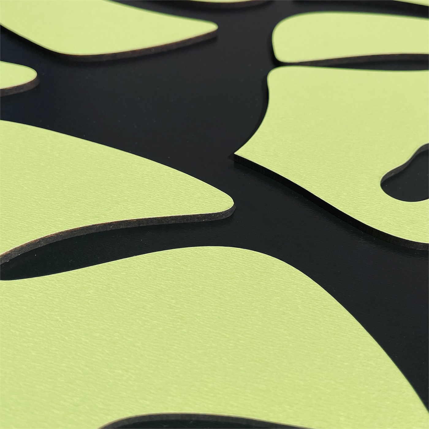 MONSTERA LEAVES TRIO View 9