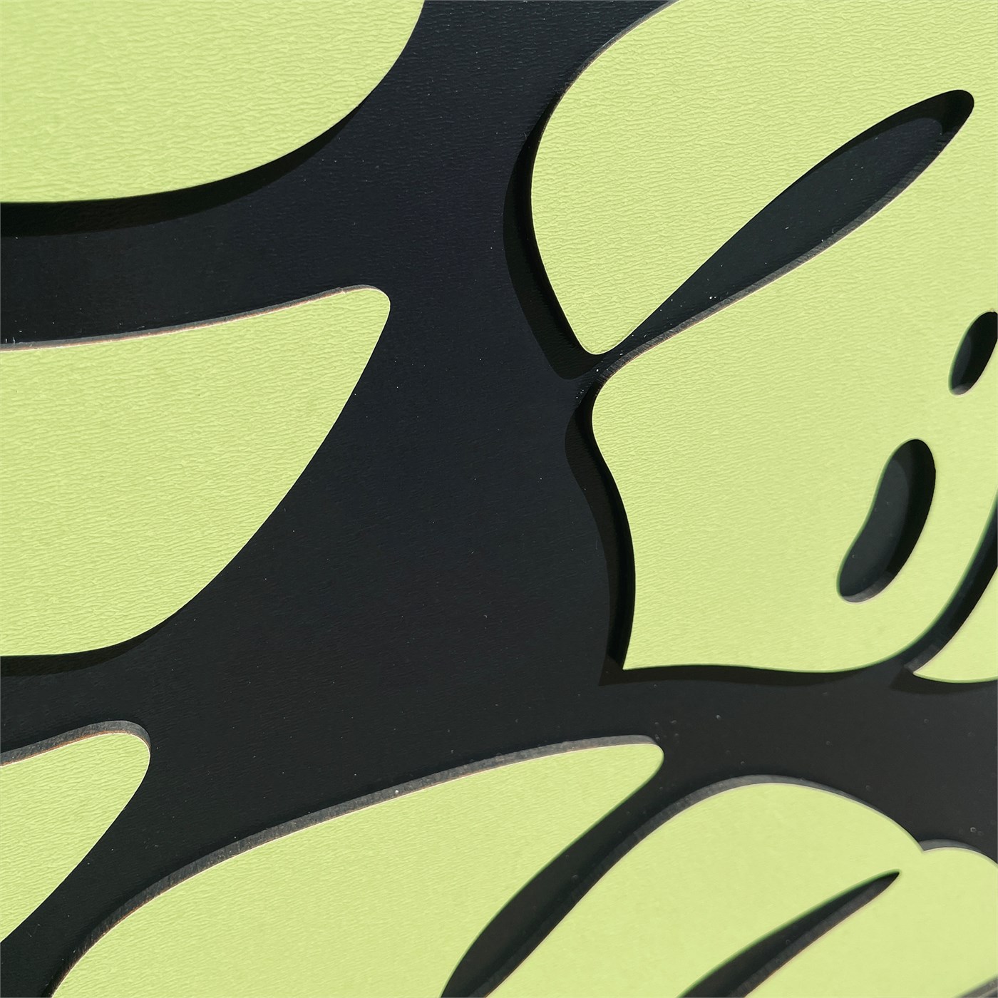 MONSTERA LEAVES TRIO View 10