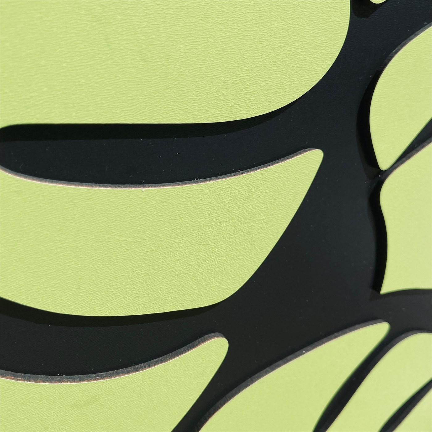 MONSTERA LEAVES TRIO View 11